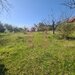 Teren de vanzare in Campina in zona retrasa